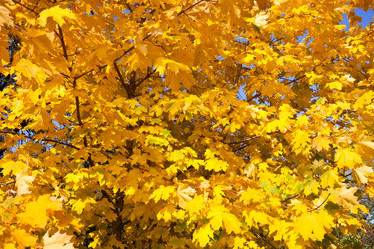 Similar image 5765022