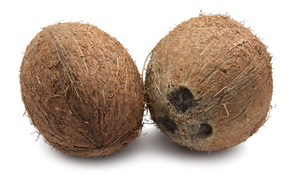 Similar image 5765143