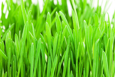 Similar image 5765148