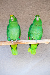 Similar image 5765157