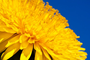 Similar image 5765158