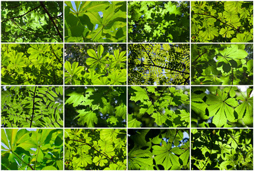 Similar image 5765165