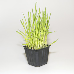 Similar image 5765436