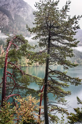 Similar image 5765496