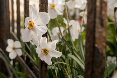 Similar image 5765527