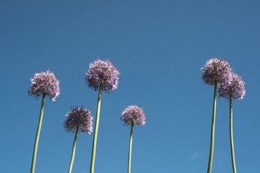 Similar image 5765530