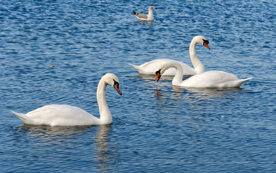 Similar image 5765698