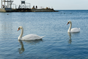 Similar image 5765700