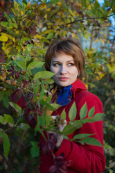 Similar image 5765712