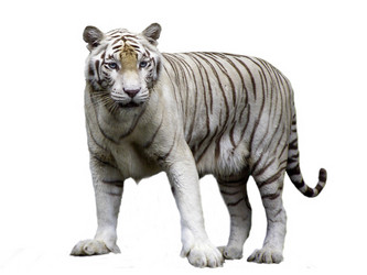 Similar image 5765938