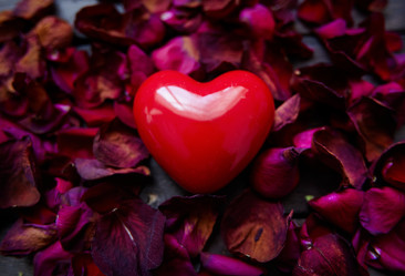 Similar image 5766005