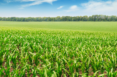 Similar image 5766122