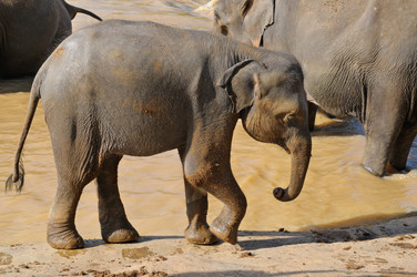 Similar image 5766123