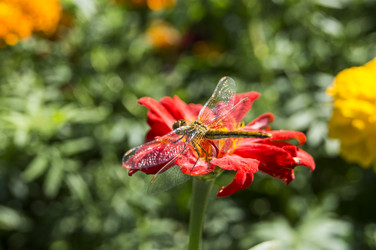 Similar image 5766166