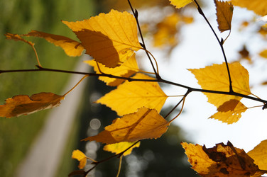 Similar image 5766167