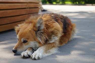 Similar image 5766169