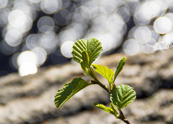 Similar image 5766176