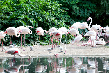 Similar image 5766231