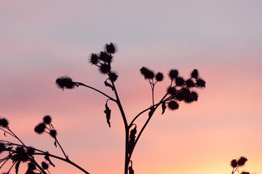 Similar image 5766307