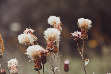 Similar image 5766342