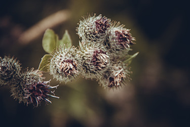 Similar image 5766343