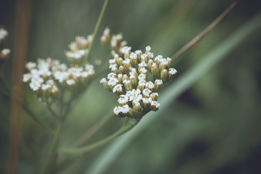 Similar image 5766344