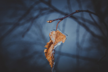 Similar image 5766345