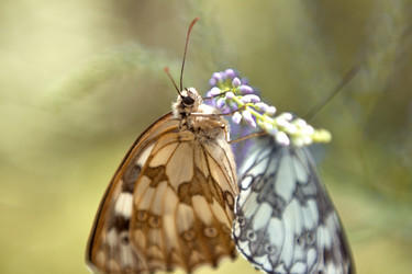 Similar image 5766346