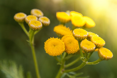 Similar image 5766350