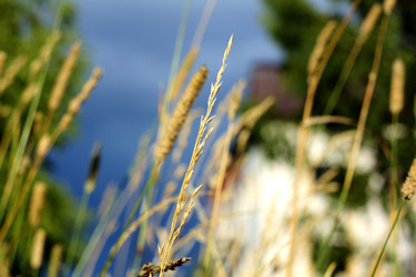 Similar image 5766351