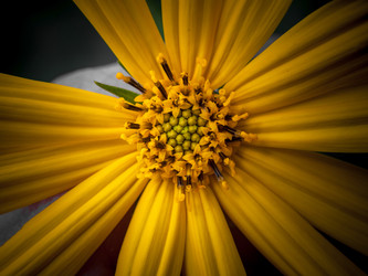 Similar image 5766353