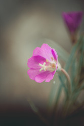 Similar image 5766354