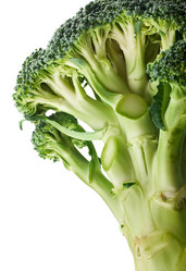 Similar image 5766360