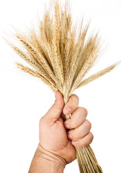 Similar image 5766368