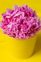 Similar image 5766382