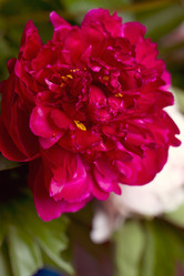 Similar image 5766383