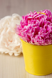 Similar image 5766384