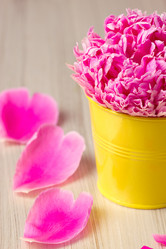 Similar image 5766385