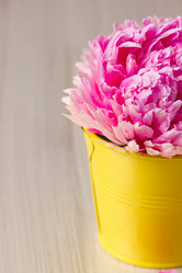 Similar image 5766386