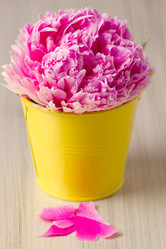 Similar image 5766387