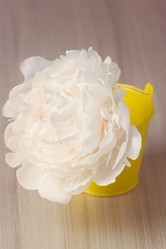 Similar image 5766388