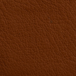 Similar image 5766436