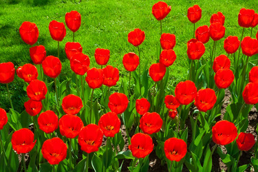 Similar image 5766549