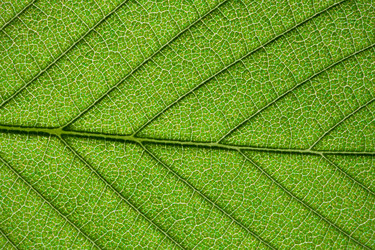 Similar image 5766551