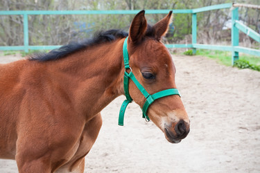 Similar image 5766554