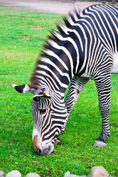 Similar image 5766576