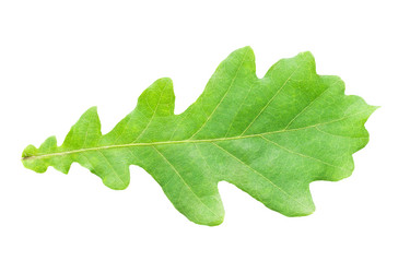 Similar image 5766581