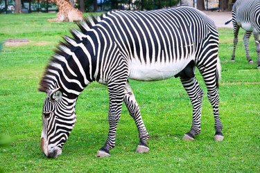 Similar image 5766602