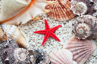 Similar image 5766612