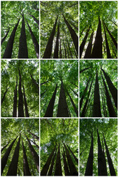 Similar image 5766634